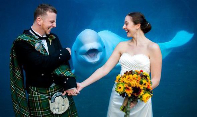Φάλαινα &quot;εισβάλλει&quot; σε γαμήλια φωτογραφία